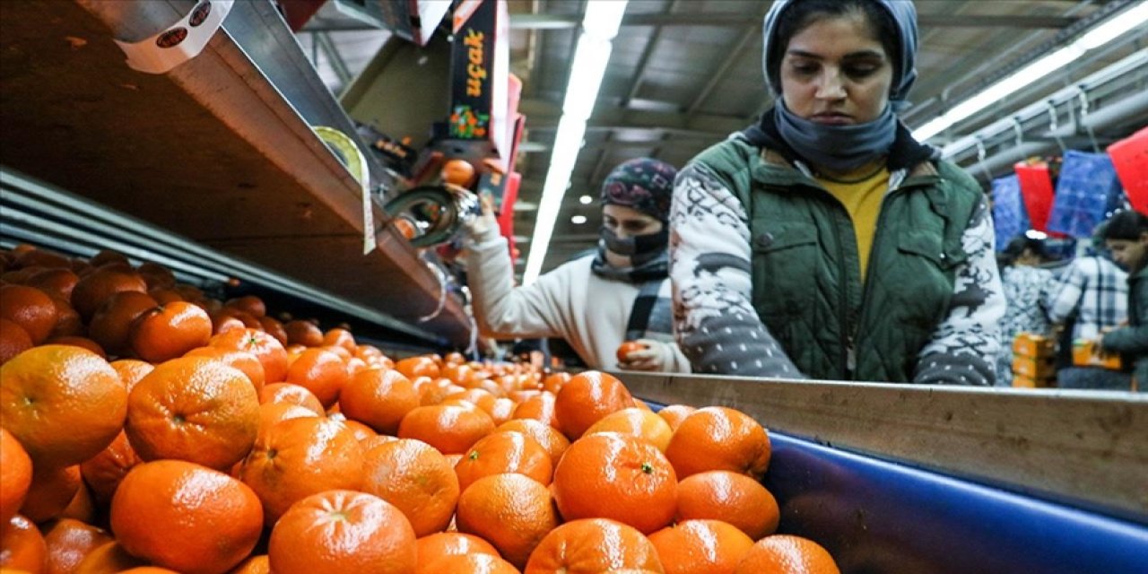 Narenciye ihracatı 1 milyar 477 milyon 58 bin dolar kazandırdı