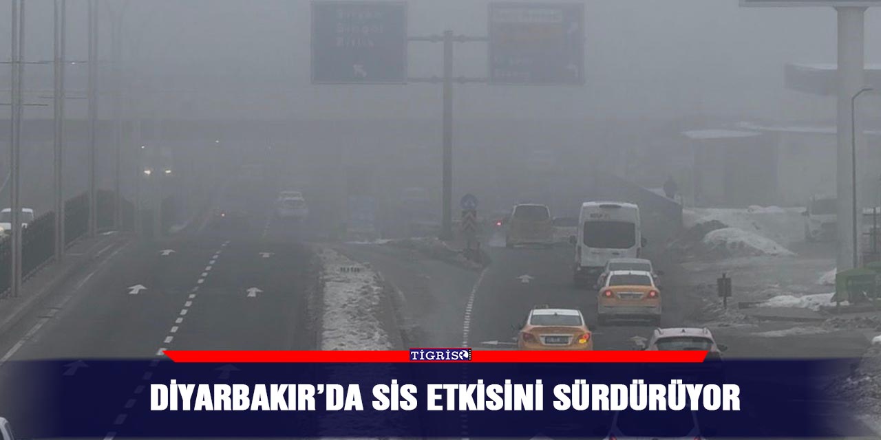 Diyarbakır’da sis etkisini sürdürüyor