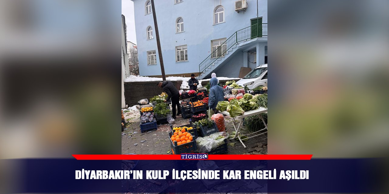 Diyarbakır’ın Kulp ilçesinde kar engeli aşıldı