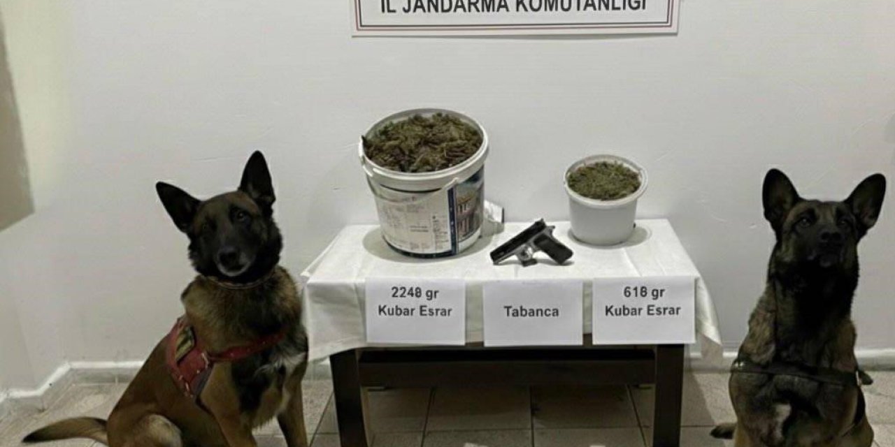 Bingöl'de uyuşturucu operasyonu: 3 gözaltı