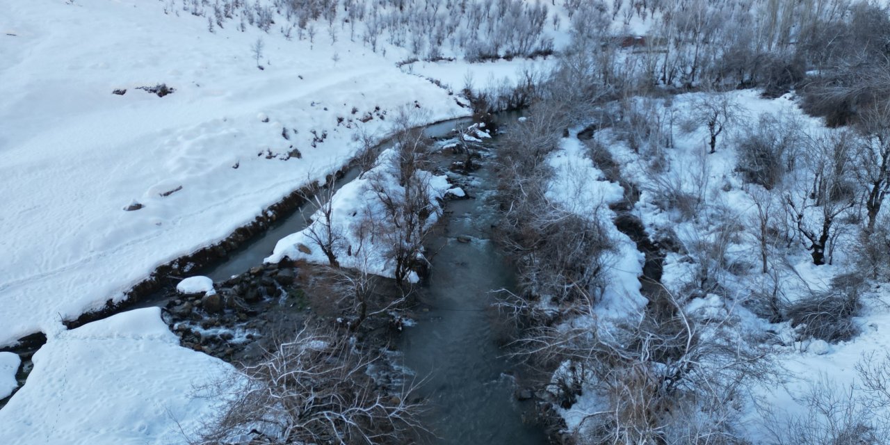 Şırnak'ta dereler buz tuttu