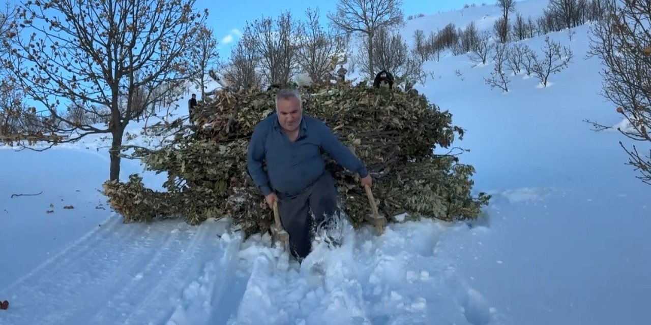 Bitlis’te karda kızakla hayvan yemi mesaisi
