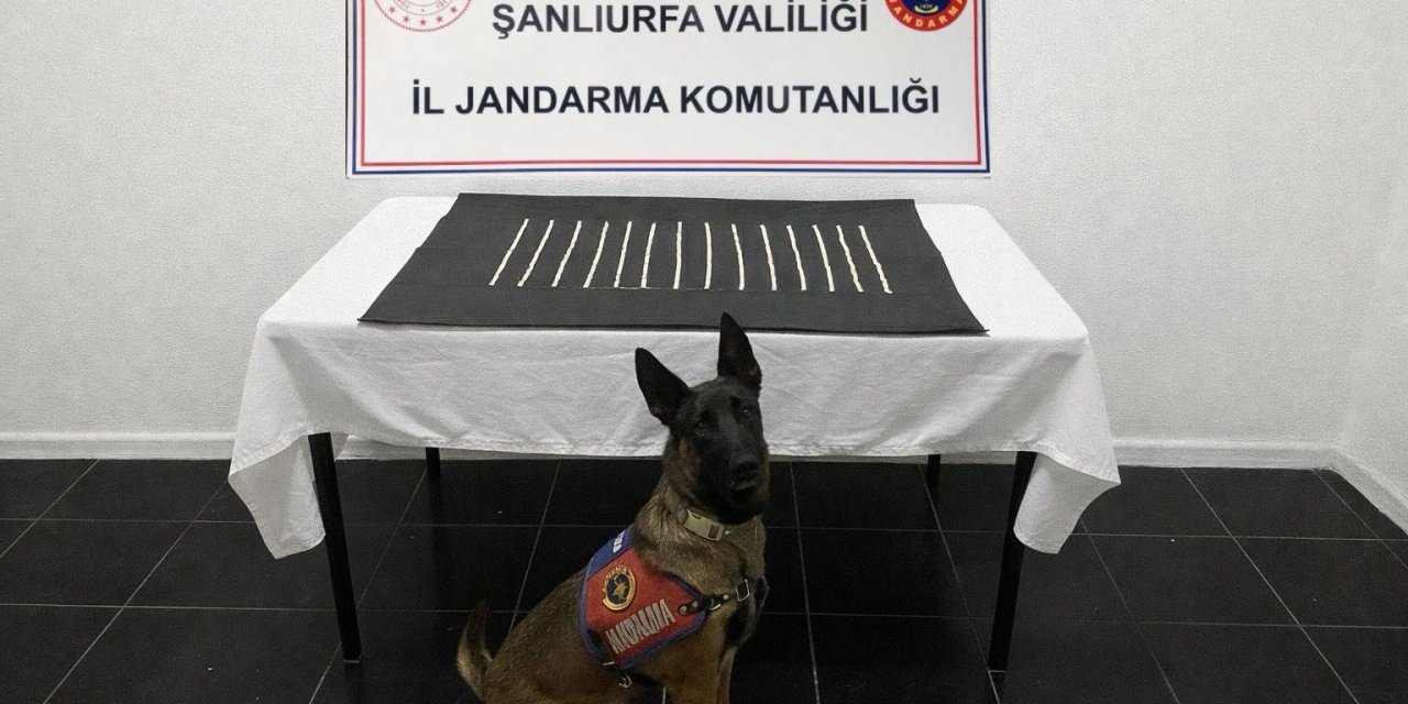 Şanlıurfa’da uyuşturucu operasyonu: 2 gözaltı