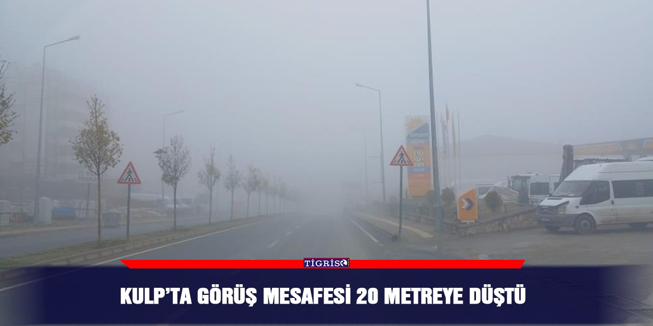 Kulp’ta görüş mesafesi 20 metreye düştü