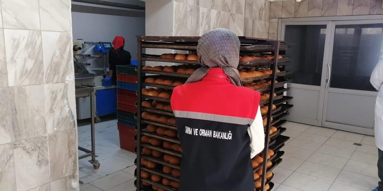 339 gıda işletmesi denetlendi