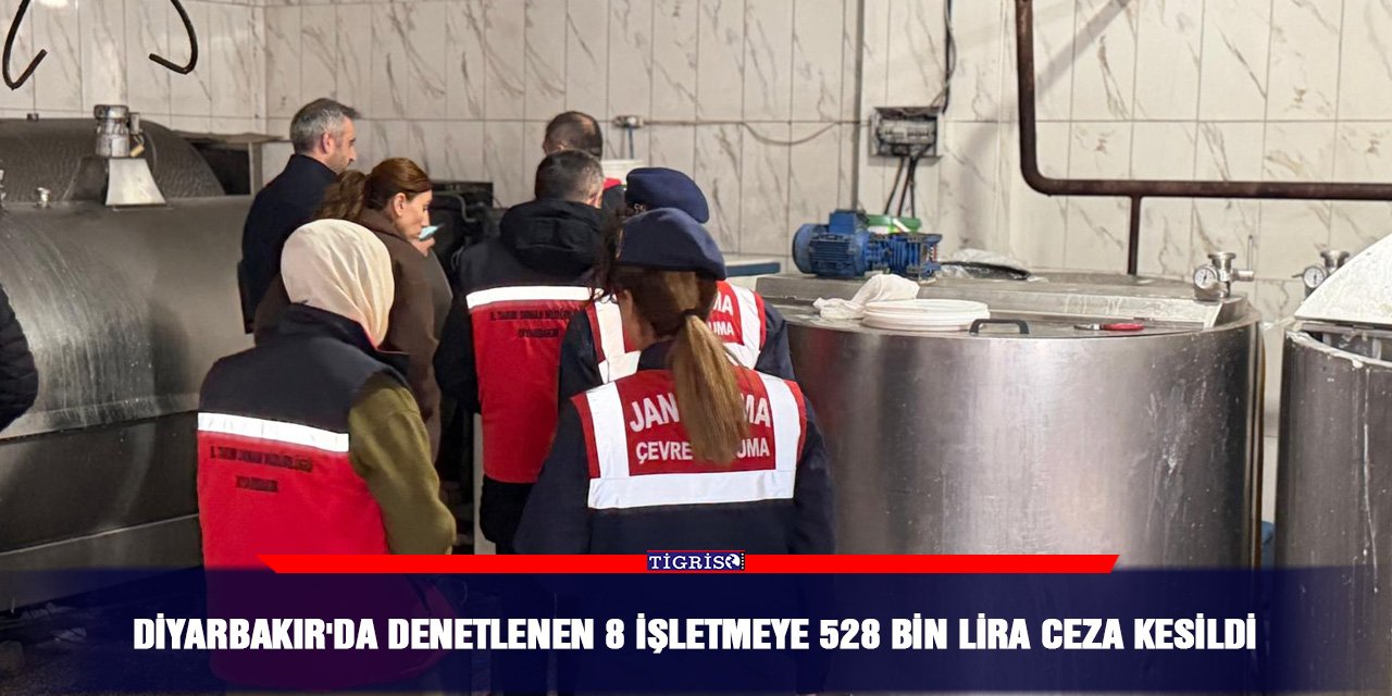 Diyarbakır'da denetlenen 8 işletmeye 528 bin lira ceza kesildi