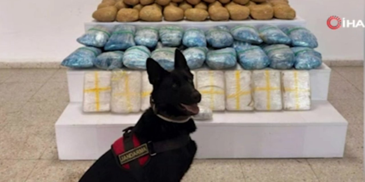 Van’da 224 kilo uyuşturucu ele geçirildi