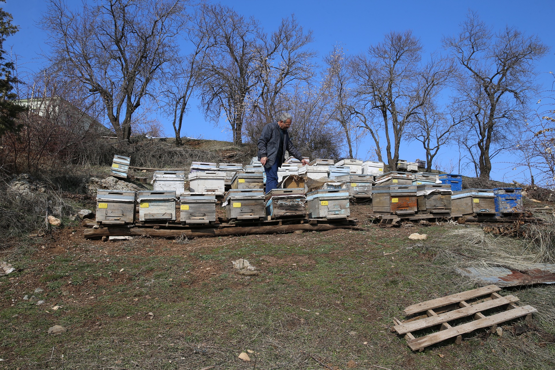 Diyarbakır'da depremzede üreticiler devlet desteğiyle hayvan sayısını artırdı