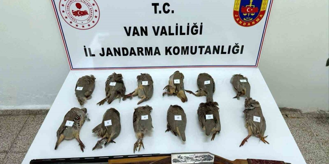 Van'da kaçak avcıya ceza yağdı