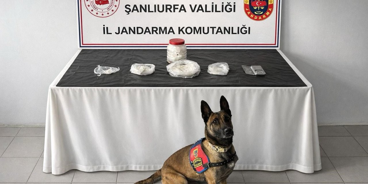 Şanlıurfa'da uyuşturucu operasyonu
