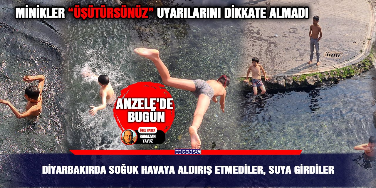 Diyarbakır’da soğuk havaya aldırış etmediler, suya girdiler