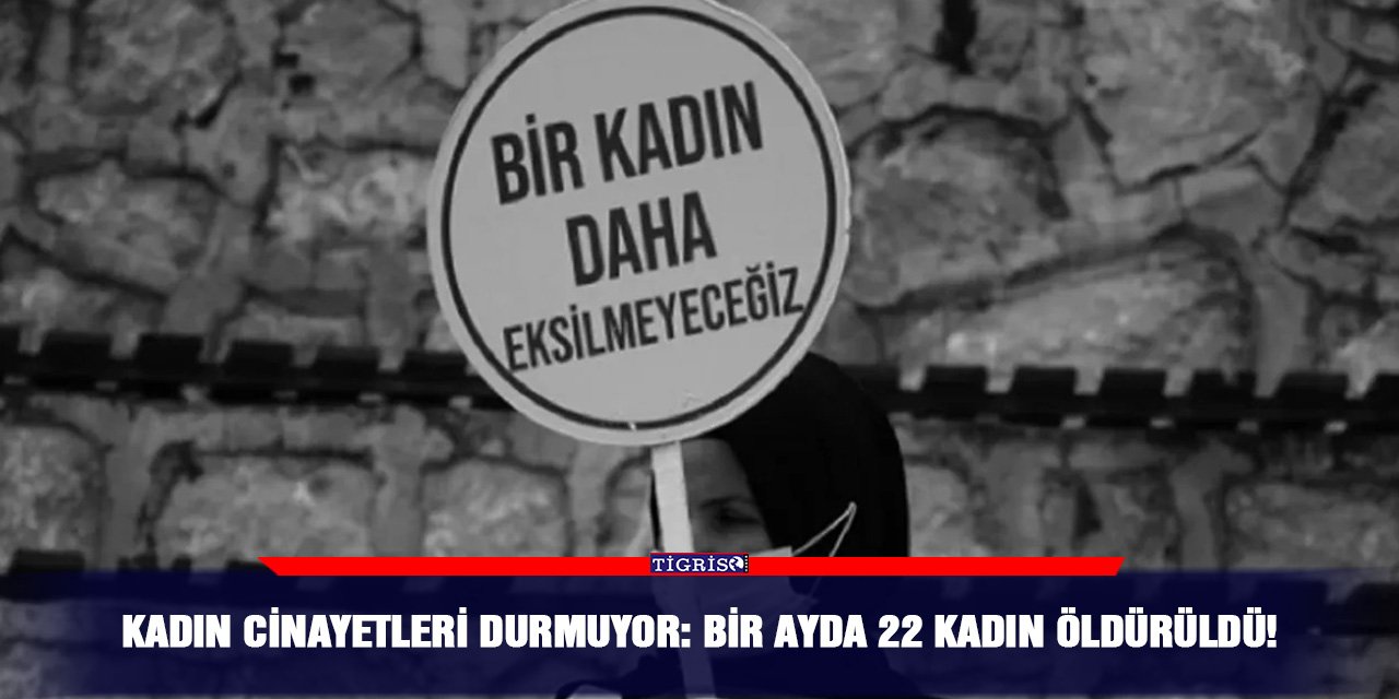 Kadın cinayetleri durmuyor: Bir ayda 22 kadın öldürüldü!