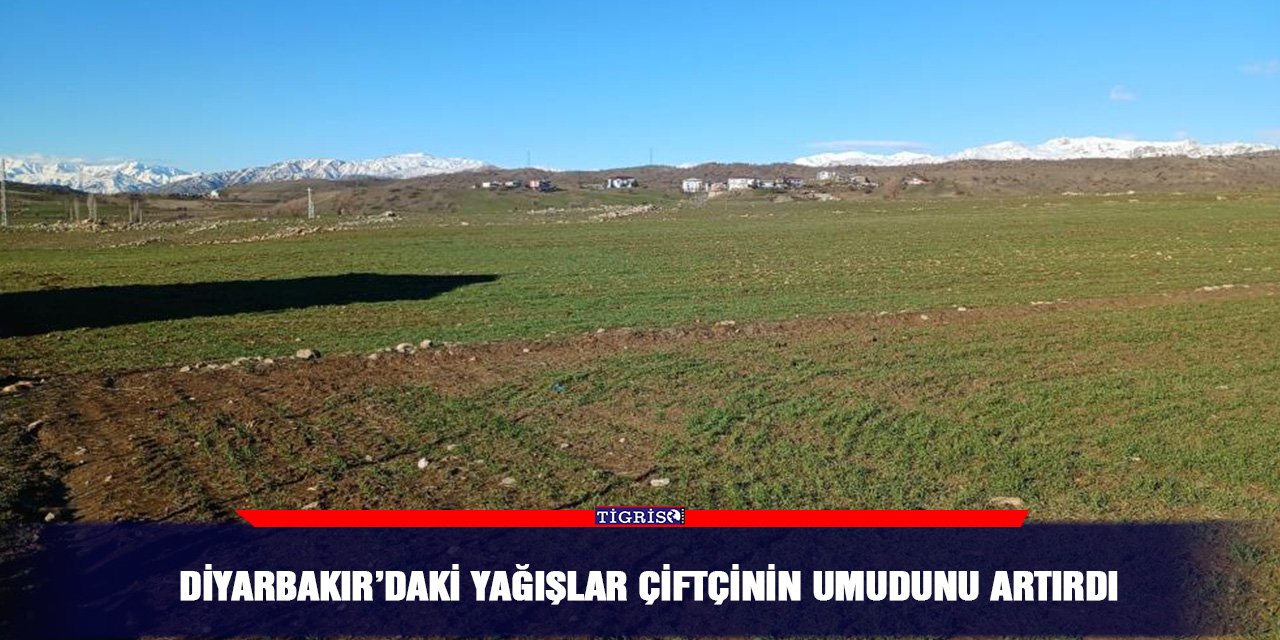 Diyarbakır’daki yağışlar çiftçinin umudunu artırdı