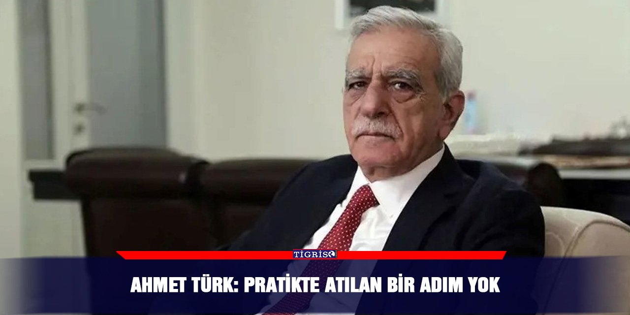 Ahmet Türk: Pratikte atılan bir adım yok