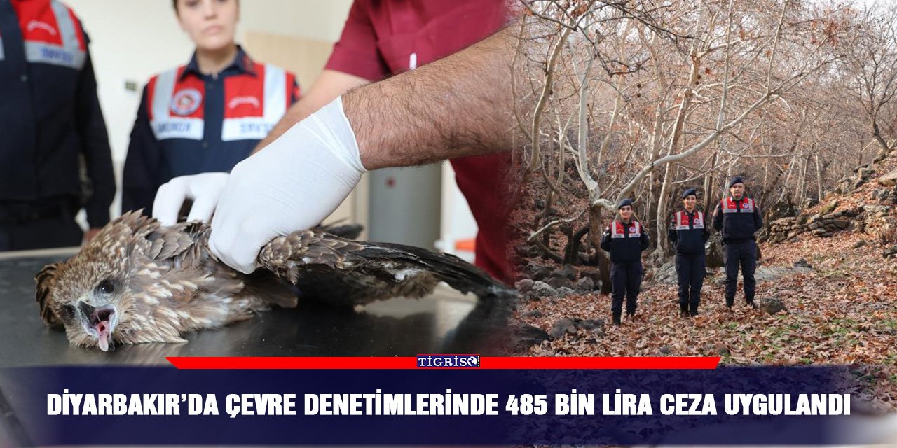 Diyarbakır’da çevre denetimlerinde 485 bin lira ceza uygulandı