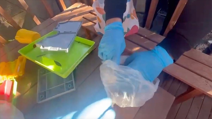 Organize suç örgütlerine operasyon: 109 şüpheli yakalandı