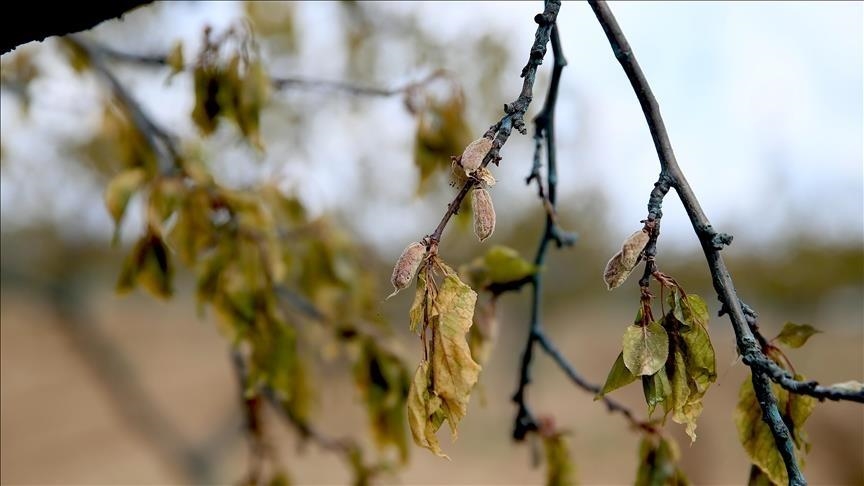 Üreticilere verilen destekler geçen yıl 158,55 milyar liraya yükseldi