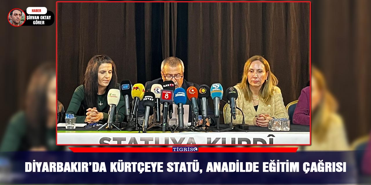Diyarbakır’da Kürtçeye statü, anadilde eğitim çağrısı