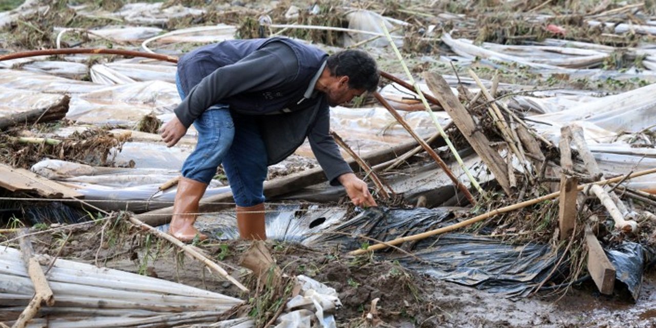 Seraları sel vurdu: Üreticinin zararı 5 milyon TL