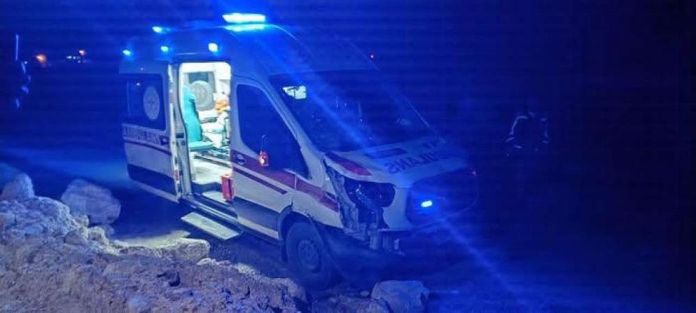 Hasta taşıyan ambulans ata çarptı
