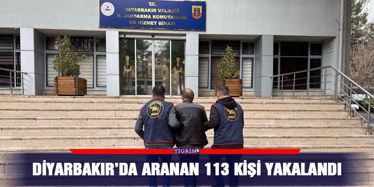 Diyarbakır’da aranan 113 kişi yakalandı