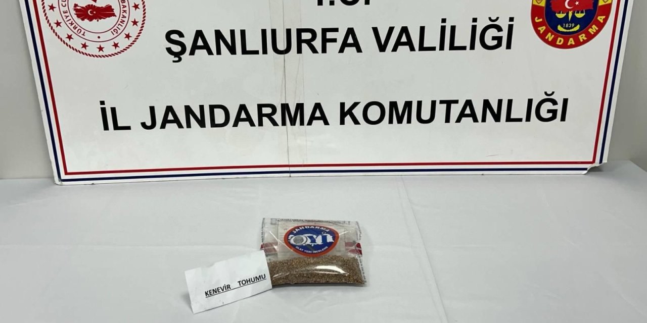 Şanlıurfa’da uyuşturucu ele geçirildi