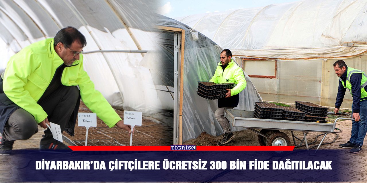 Diyarbakır’da çiftçilere ücretsiz 300 bin fide dağıtılacak
