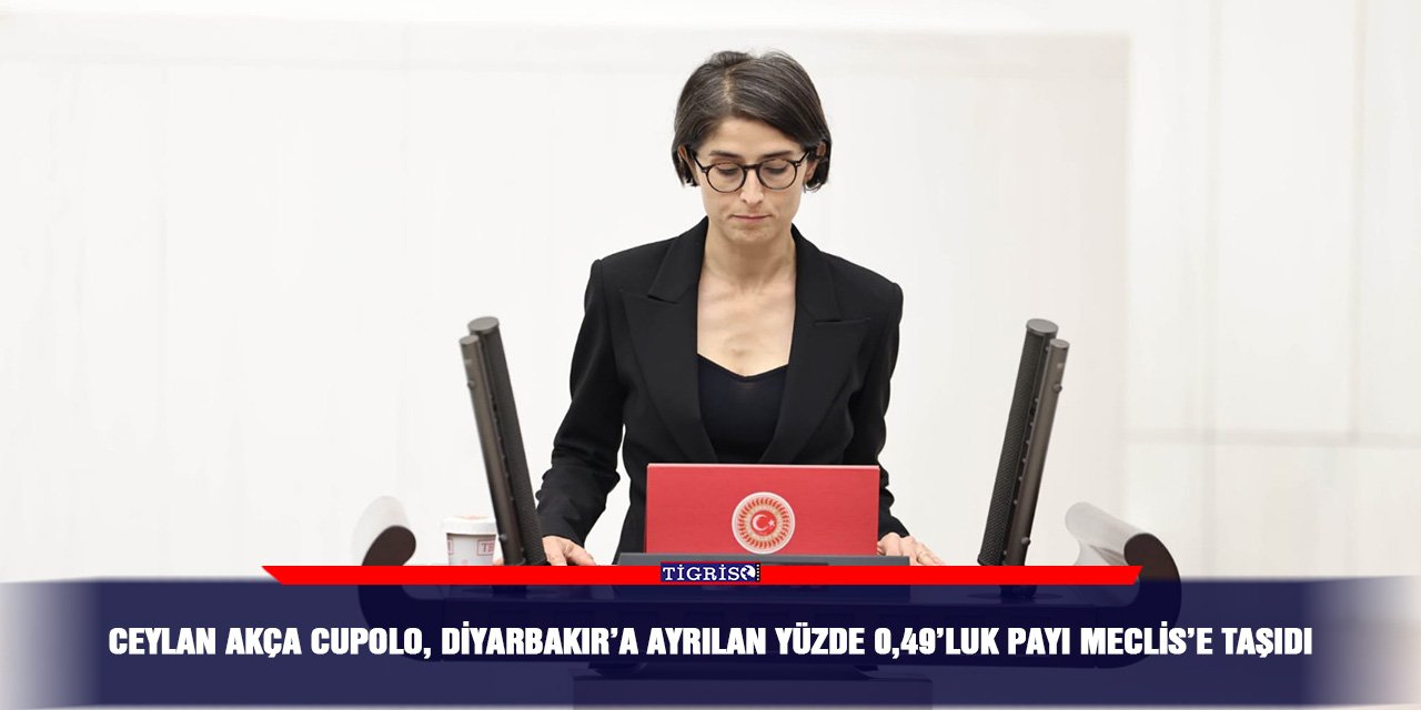 Ceylan Akça Cupolo, Diyarbakır’a ayrılan yüzde 0,49’luk payı Meclis’e taşıdı