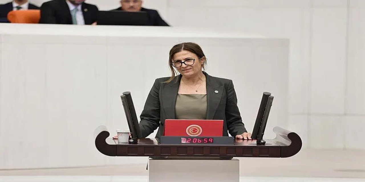 Türkan Elçi’nin çekimser oyunun nedeni ortaya çıktı