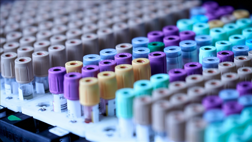 Kedi kanserlerindeki genetik bulgular insan tedavisine ışık tutuyor