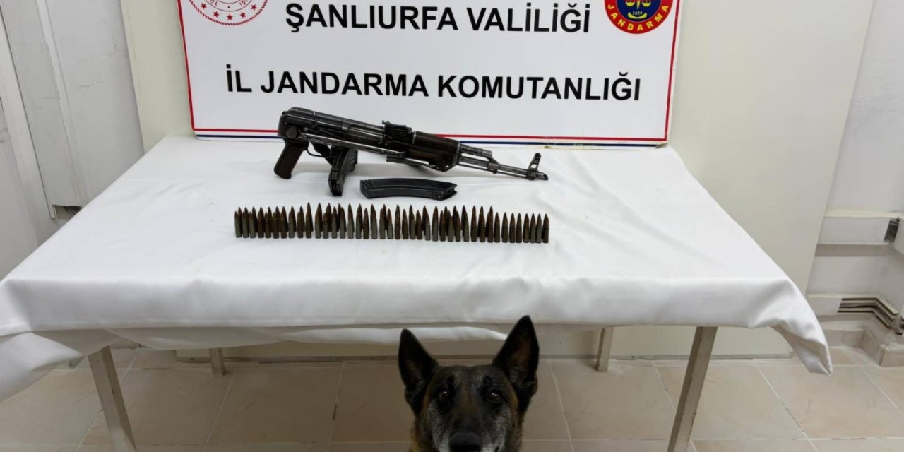 Şanlıurfa'da uzun namlulu silah ele geçirildi