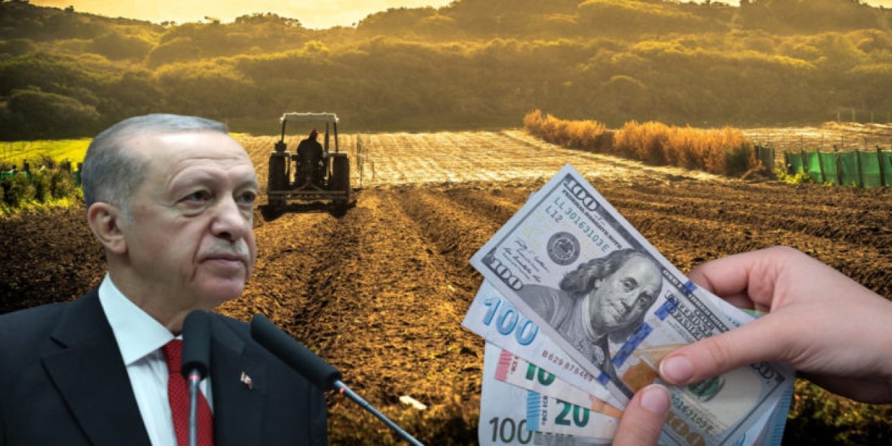 Erdoğan: 81 milyar liralık tarım desteği ödenecek