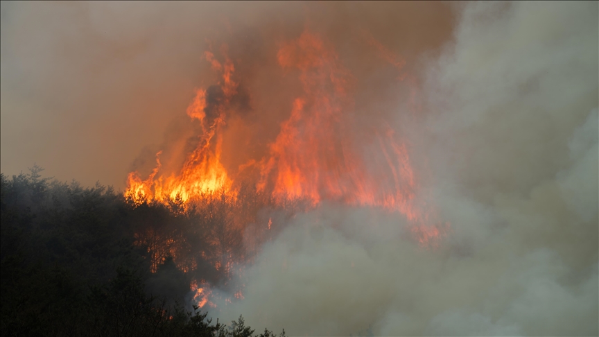 Güney Kore'de orman yangınları 3 gündür devam ediyor