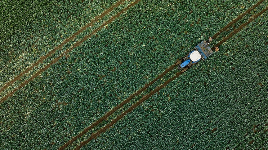 Yağışlar su kaynaklarına olumlu yansıdı