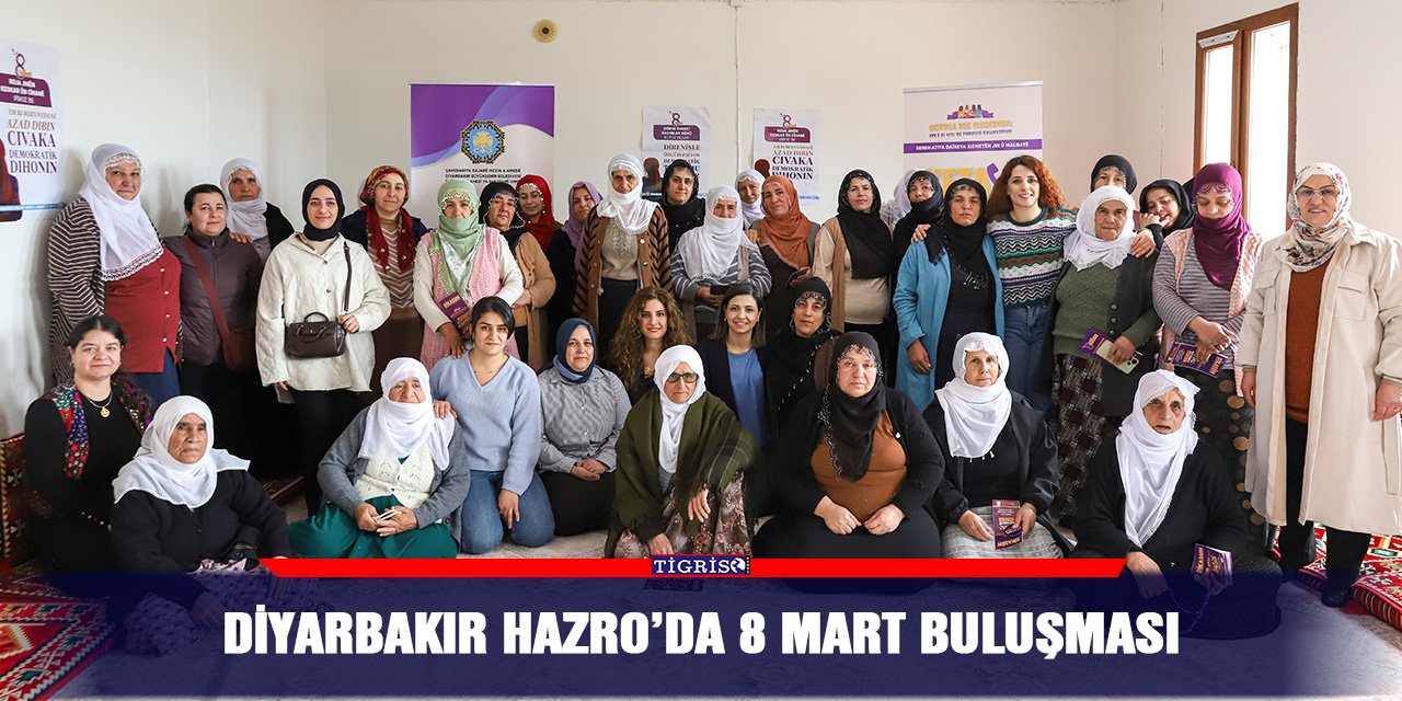 Diyarbakır Hazro’da 8 Mart buluşması