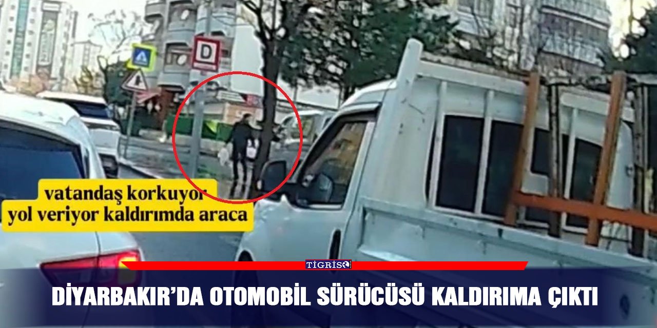 Diyarbakır’da otomobil sürücüsü kaldırıma çıktı