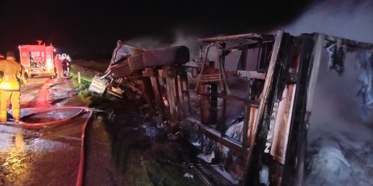 Mandalina yüklü tır alevlere teslim oldu