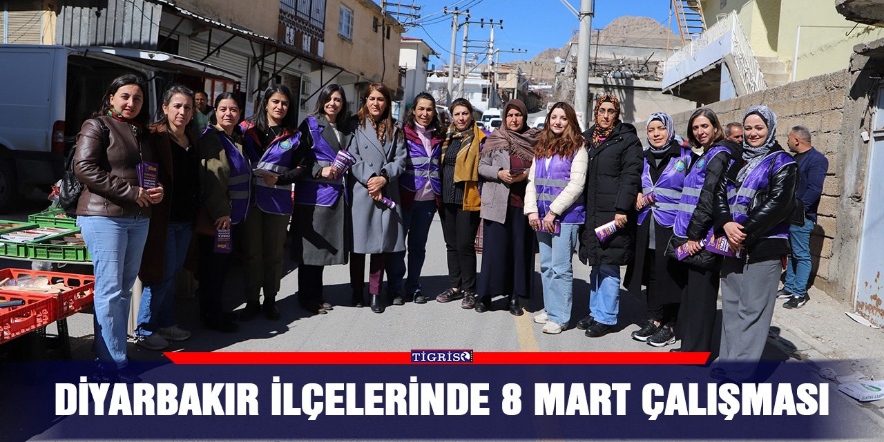 Diyarbakır İlçelerinde 8 Mart çalışması