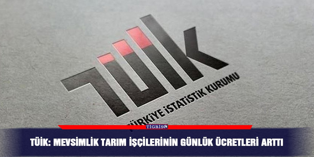 TÜİK: Mevsimlik tarım işçilerinin günlük ücretleri arttı