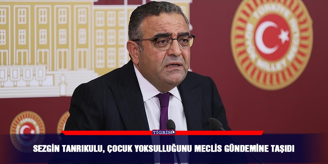 Sezgin Tanrıkulu, çocuk yoksulluğunu Meclis gündemine taşıdı