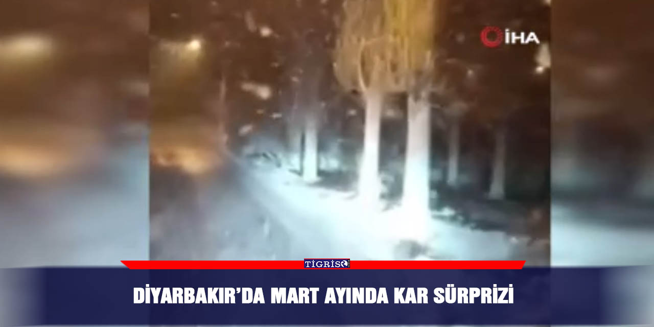 Diyarbakır’da mart ayında kar sürprizi