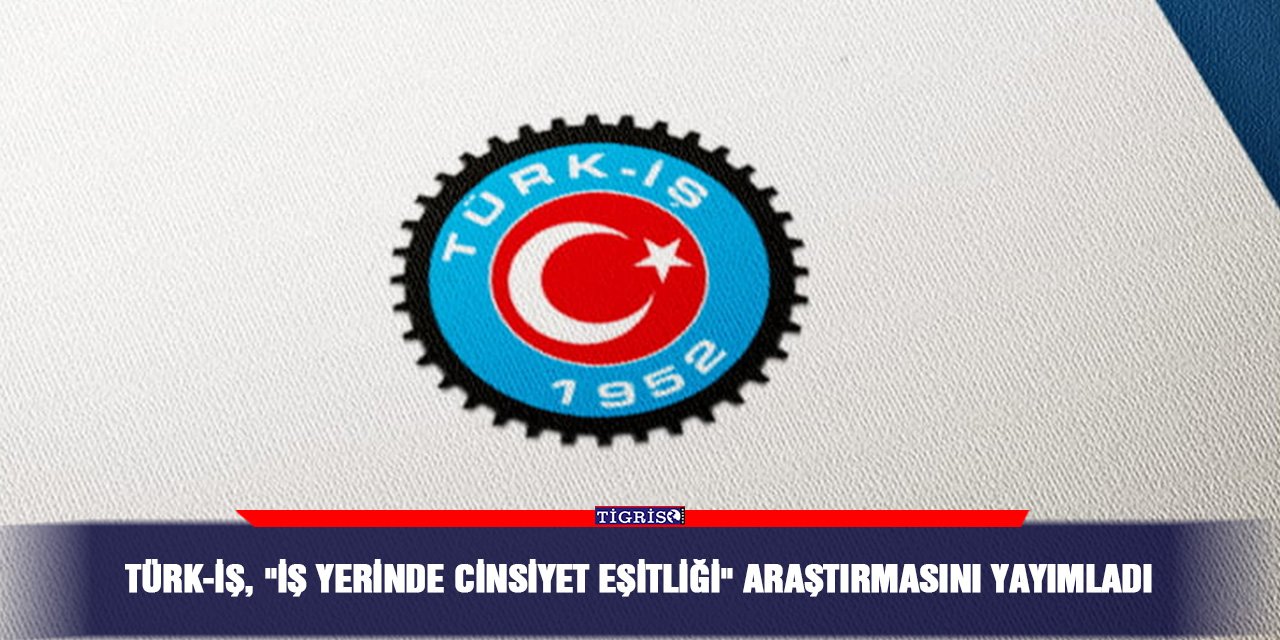 TÜRK-İŞ, "İş Yerinde Cinsiyet Eşitliği" araştırmasını yayımladı