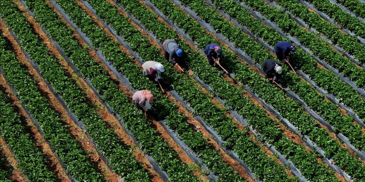 Çiftçiye 12 milyar liralık destek!
