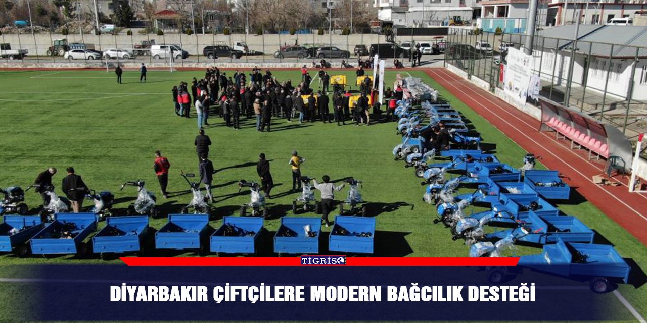 Diyarbakır çiftçilere modern bağcılık desteği