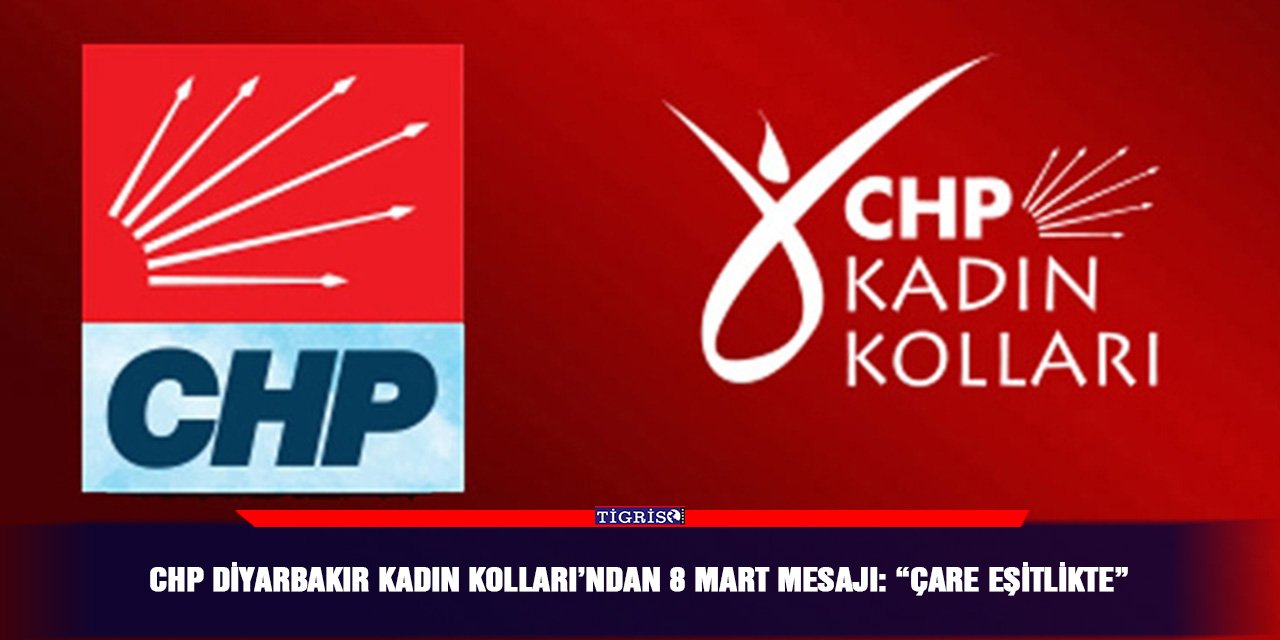 CHP Diyarbakır Kadın Kolları’ndan 8 Mart mesajı: “Çare eşitlikte”