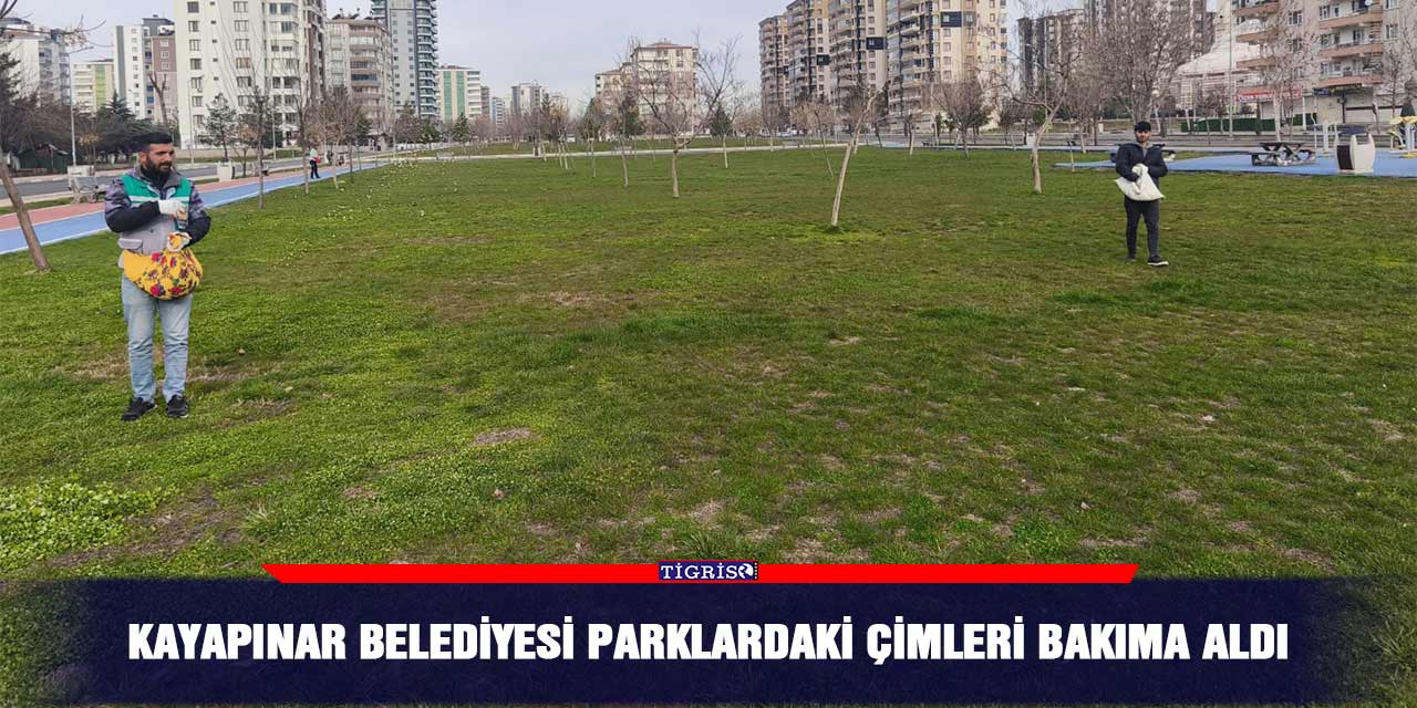 Kayapınar Belediyesi parklardaki çimleri bakıma aldı