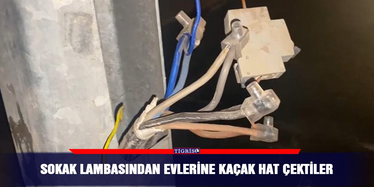 Sokak lambasından evlerine kaçak hat çektiler