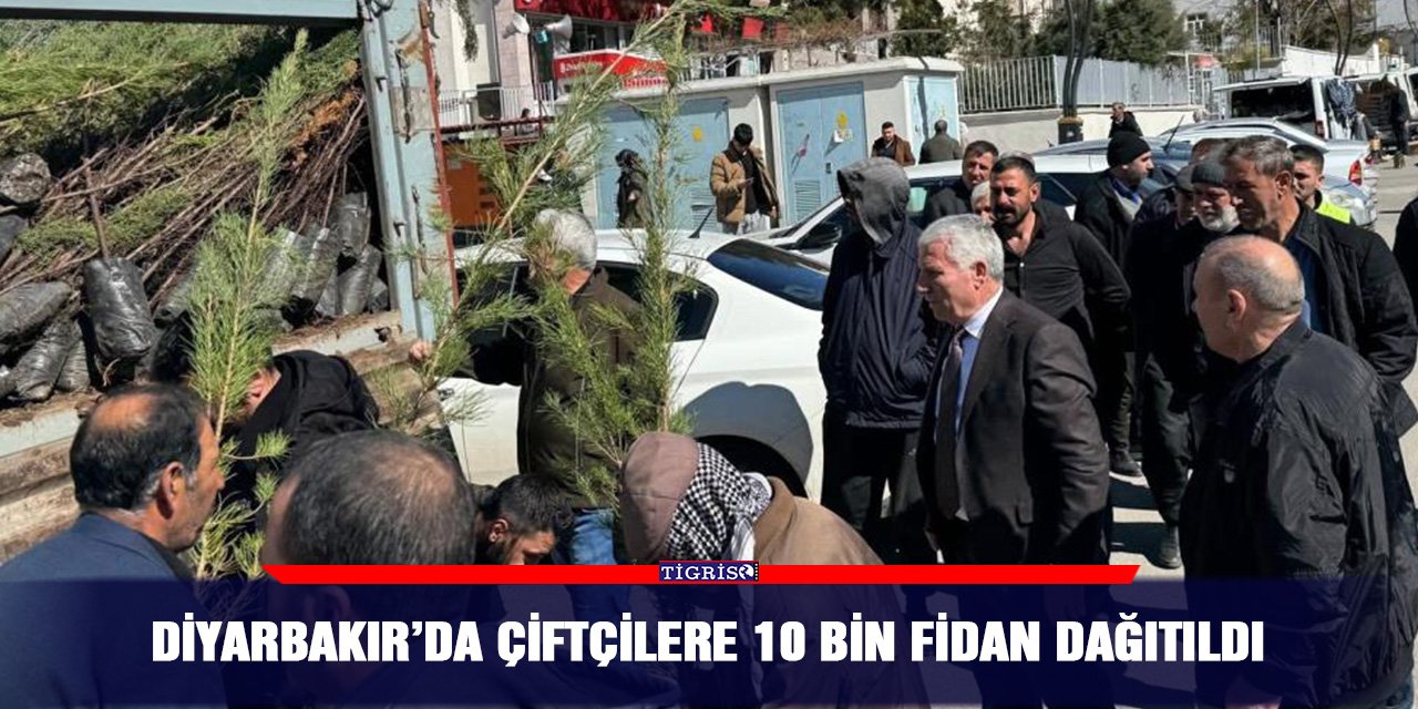 Diyarbakır’da çiftçilere 10 bin fidan dağıtıldı
