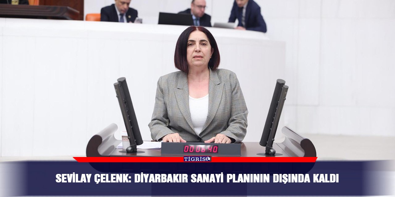 Sevilay Çelenk: Diyarbakır sanayi planının dışında kaldı