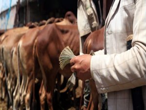 Kurbanlık hayvanda sıkıntı yaşanmayacak